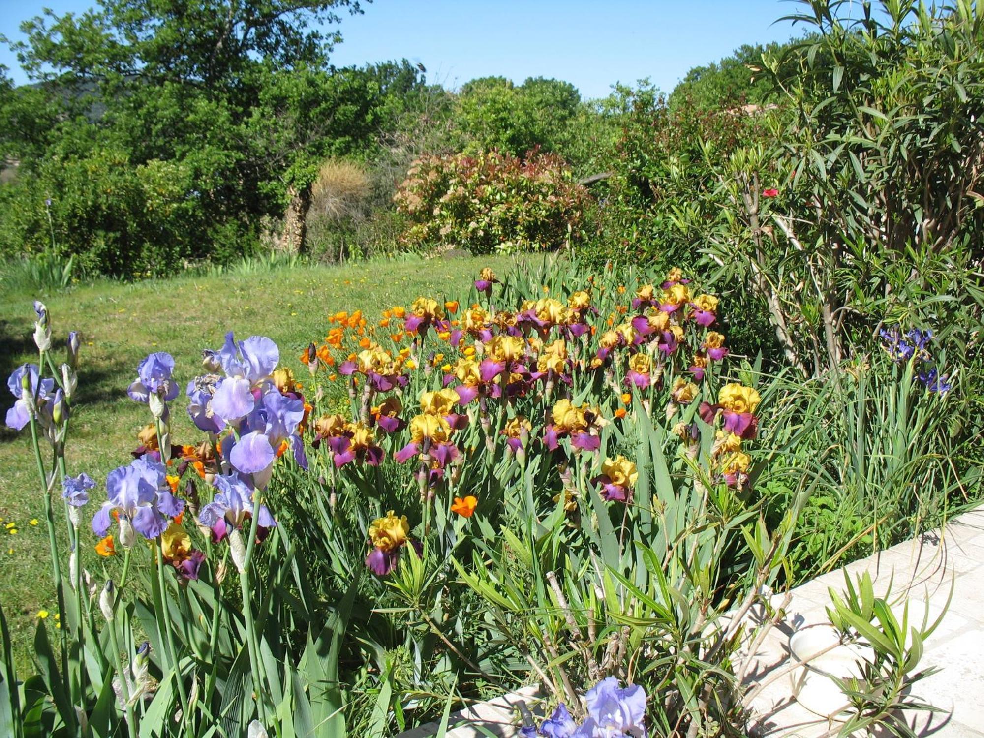B&B La Cigaline Villedieu  Luaran gambar